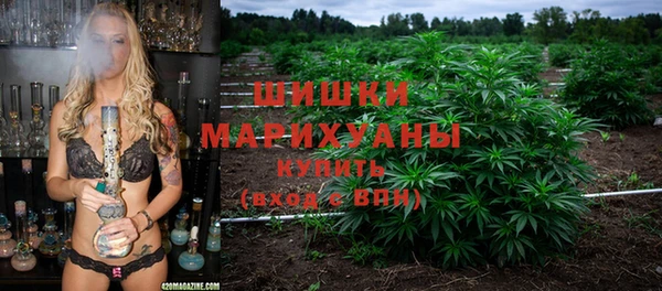 стафф Инта