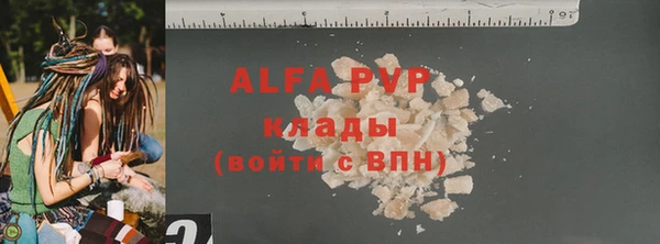 прущие грибы Зеленокумск