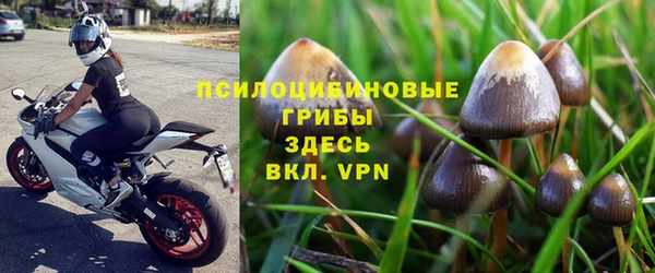 кокаин колумбия Инсар
