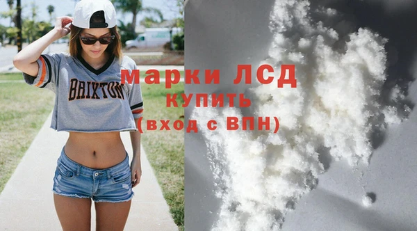 стафф Инта