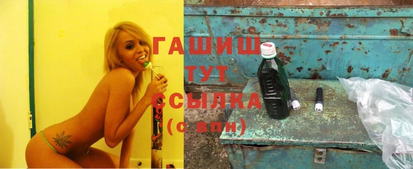 стафф Инта