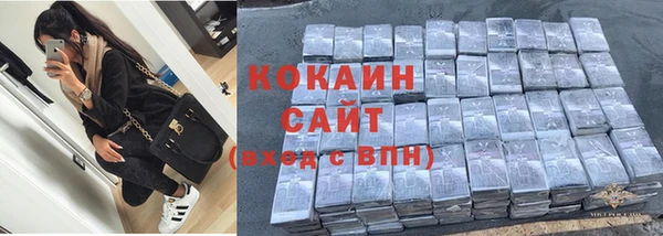 прущие грибы Зеленокумск