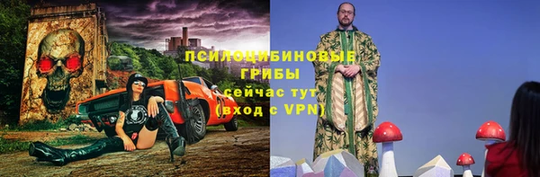 прущие грибы Зеленокумск