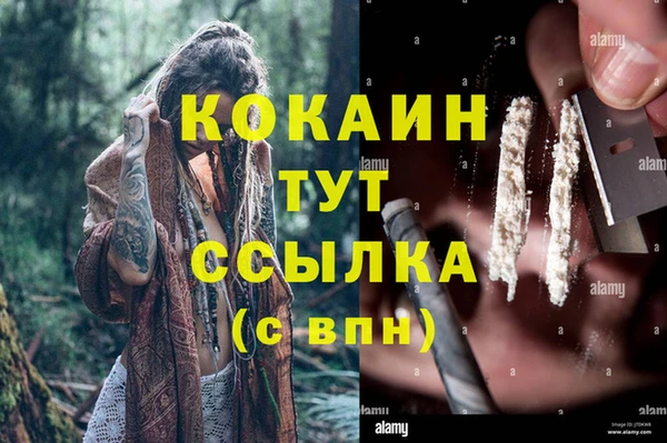 прущие грибы Зеленокумск