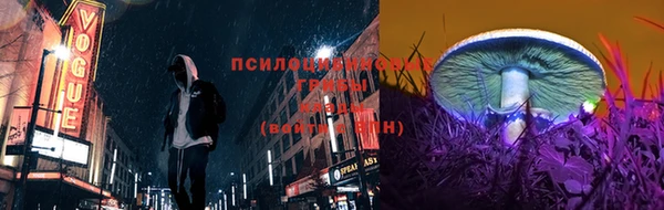 прущие грибы Зеленокумск