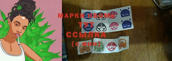 прущие грибы Зеленокумск
