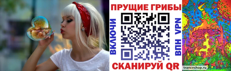 Купить  Крымск  Псилоцибиновые грибы ЛСД 